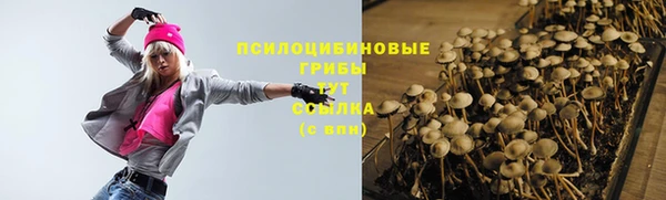 ПСИЛОЦИБИНОВЫЕ ГРИБЫ Алексеевка