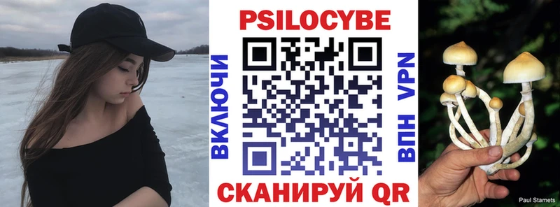 MEGA ссылка  Устюжна  Псилоцибиновые грибы Magic Shrooms  где можно купить  