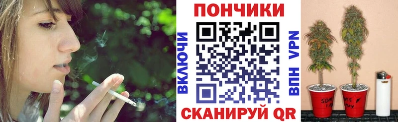 Канабис ГИДРОПОН  Устюжна 